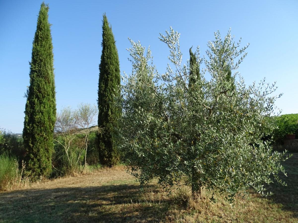 Teruzzi Country House San Gimignano Buitenkant foto