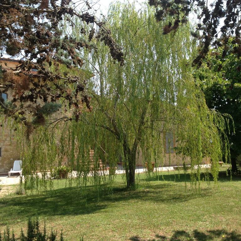 Teruzzi Country House San Gimignano Buitenkant foto
